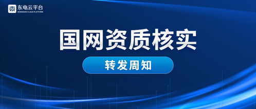 國網(wǎng)資質(zhì)核實(shí) 關(guān)于2019年財(cái)務(wù)信息審核的通知